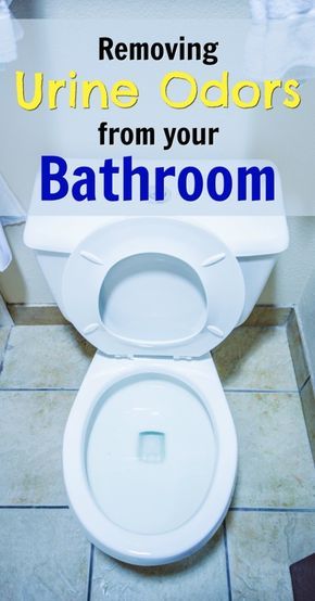 Boy Bathroom Smell, Remove Urine Smell, Toilet Odor, Boy Bathroom, Pee Smell, Deep Clean Bathroom, Bathroom Odor, Enzyme Cleaner, Urine Odor