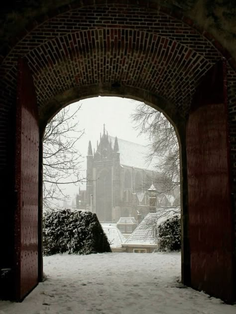 Dark Academia Christmas, Leiden Netherlands, Wallpaper Winter, Dark Christmas, Winter Mood, Brasov, Winter Scenery, Christmas Gifts For Boyfriend, Winter Vibes