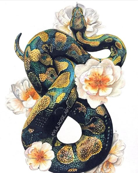 Snake Drawing, Kunst Tattoos, Roses Print, Snake Art, White Drawing, Ball Python, 수채화 그림, Snake Tattoo, Black And White Drawing