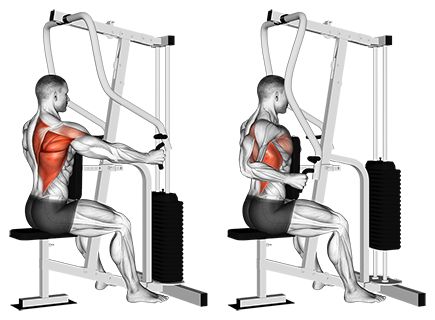 One-Arm Seated Cable Row Machine Lat Pulldown Machine, Fitness Studio Training, Cable Workout, Cable Row, Gym Antrenmanları, Back Workouts, Lat Pulldown, Latissimus Dorsi, Body Coach