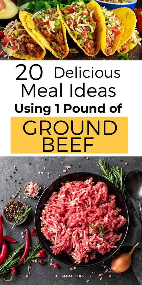 Heathy Food Ideas For Dinner Ground Beef, Family Dinner Ground Beef, 5 Ingredient Or Less Recipes Dinner Ground Beef, Basic Ground Beef Recipes, Ground Beef Recipes For 2 People, 1 Lb Ground Beef Recipes Easy Dinners, Easy Dinner Recipes For Two Ground Beef, Ground Beef Recipes Cheap, Chop Meat Meals Ground Beef