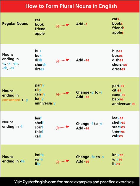 Sense Organs Chart, Plural Nouns Rules Chart, Singular Plural Chart, Regular Plural Nouns Worksheet, Basic English For Kids, Rules For Plural Nouns, Regular And Irregular Plural Nouns, Regular Nouns, Nouns For Kids