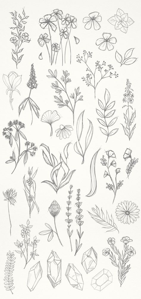 Simple Floral Sketch Drawings, Messy Flowers Drawing, Crystal Sketch Drawings, Simple Flowers Design, Drawing Floral Designs, Floral Drawings Simple, Flower Bundle Drawings, Crystal Flower Drawing, Flower And Crystal Tattoo