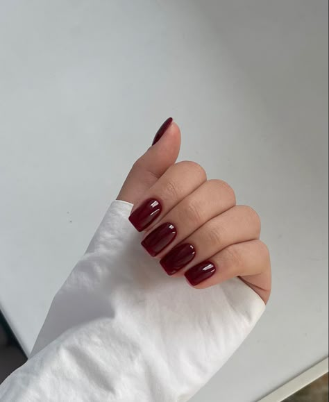 Wine Nails, Maroon Nails, Red Acrylic Nails, Cherry Nails, Work Nails, Soft Nails, Red Nail, Square Acrylic Nails, Classy Nails