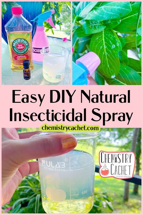 Do you want an easy more natural way of keeping bugs from eating your plants? Try our easy DIY Insecticidal soap spray! Works for all types of insects and will keep them from destroying leaves. Learn how to make it on Chemistry Cachet Homemade Insecticidal Soap, Homemade Insecticide For Plants, Natural Bug Spray For Plants, Insecticidal Soap Recipe, Diy Insecticidal Soap, Insecticide For Plants, Homemade Bug Spray Recipe, Bug Spray For Plants, Garden Fertilizers