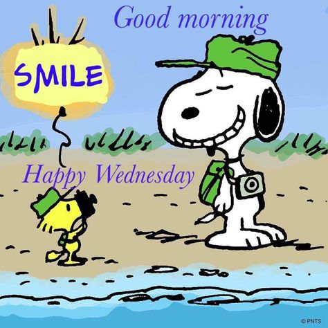 Happy Wednesday Funny Christmas Cartoons, Woodstock And Snoopy, Snoopy Beagle, Funny Christmas Pictures, Charlie Brown And Friends, Short Friendship Quotes, Woodstock Snoopy, Sally Brown, Brown And Friends