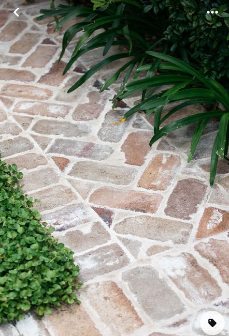 Front Stone Walkway, Outdoor Paths And Walkways, Garden Footpath Ideas, Concrete Driveway With Paver Border, Brick House Walkway, Reclaimed Brick Pathway, Recycled Brick Paving, Brick Footpath, Brick Paver Patio Ideas