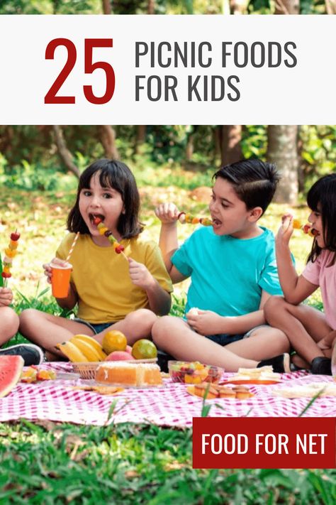 Picnic Foods For Kids, Picnic Food Kids, Kids Picnic Foods, Kids Picnic Parties, Chicken Sushi, Foods For Kids, Homemade Jerky, Cheese Whiz, Space For Kids