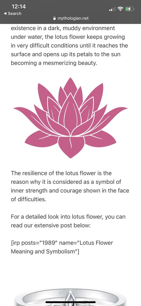 Waterlily Meaning, Lotus Red Tattoo, Red Lotus Flower Tattoo, Red Lotus Tattoo, Lotus Flower Meaning, Red Flower Tattoos, Red Spider Lily, Flower Tattoo Back, Red Lotus