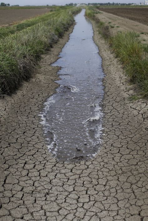 Water Wars in California: Factory Farms Draining the State Dry California Drought, Water Issues, Water Scarcity, Water Projects, Emergency Plan, Water Resources, Pollution, Government, California