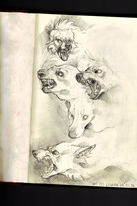 302 by LiLaiRa on DeviantArt Canine Art, My Sketchbook, Sketchbook Art, Wow Art, 판타지 아트, Art Block, Creature Design, A Drawing, Creature Art