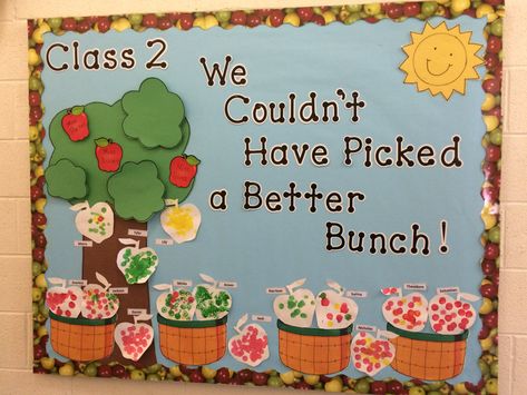 We Couldn’t Have Picked A Better Bunch Bulletin Board-Apples Bulletin Board Apple Ideas, Fall Classroom Boards Preschool, Bulletin Board Apple Tree, Bulitin Board Ideas September, Apple Theme Door Decoration, Fall Bulletin Board Ideas Apples, Apple Bulliten Boards For Preschool, Apple Boards For Preschool, September Window Display Preschool