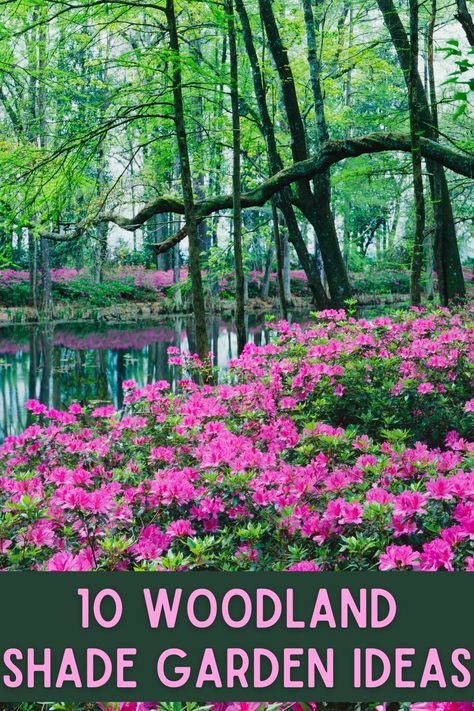 Natural Spring Landscaping, Outside Cottage Ideas, Bushy Plants For Garden, Flowers That Grow In The Woods, Woodland Flower Garden, Shady Woodland Garden, Wooded Yard Ideas, Gardens In The Woods, Forest Deck Ideas