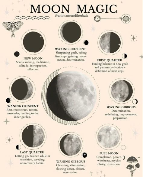 New Moon Illustration, Lunar Witch, Lunar Magic, Moon Phase Calendar, Moon Reading, Moon Magick, The Phases Of The Moon, Moon Journal, New Moon Rituals