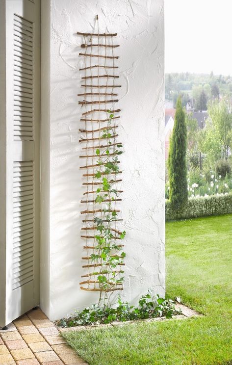 twig-trellis-frank-flechtwaren-gardenista Diy Garden Trellis, نباتات منزلية, Vertical Garden Diy, Vertical Gardens, Diy Gardening, Garden Artwork, Cinder Block, The Secret Garden, Garden Features