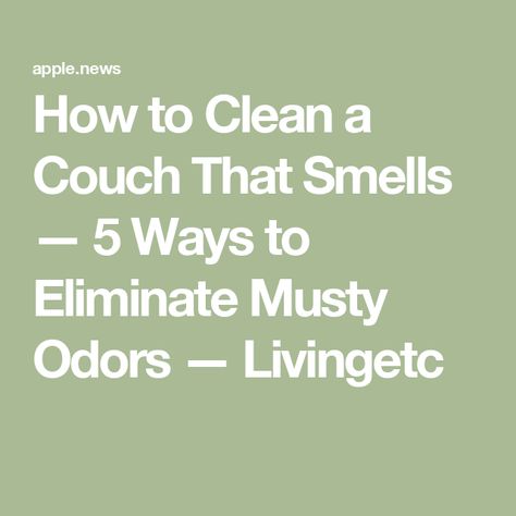 How to Clean a Couch That Smells — 5 Ways to Eliminate Musty Odors — Livingetc Furniture Odor Eliminator, How To Remove Musty Smell From Furniture, Getting Smells Out Of Furniture, How To Get Musty Smell Out Of Furniture, Smelly Couch Remedy, How To Deodorize A Couch, Deodorize Couch, Couch Cleaning Solution, Odor Eliminator Diy