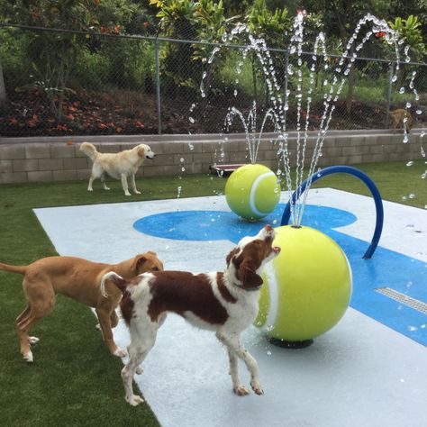 splash-pad-grass-for-dogs Cool Dog Park, Dogs Park Design, Best Dog Parks, Dog Playground Indoor, Dog Park Bar, Indoor Dog Park Ideas, Pet Park Design, Dog Play Area Indoor, Diy Dog Park