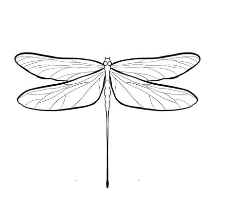 Dragon Fly Tattoo Stencil, Dragon Fly Drawing, Butterfly Stencils, Dragon Fly Tattoo, Fly Tattoo, Fly Drawing, Tattoo Practice, Butterfly Stencil, Dragonfly Tattoo