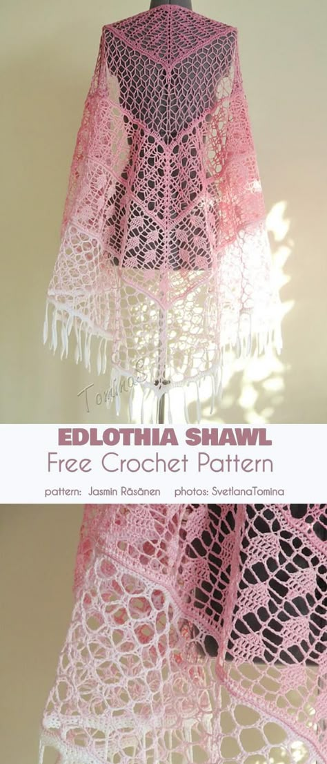 Ediothia Shawl Free Crochet Pattern #freecrochetpattern #crochetshawl #crochetshawlpatternfree Crochet Shawl Free, Crocheted Shawl, Confection Au Crochet, Pola Amigurumi, Crochet Shawl Pattern Free, Crochet Bolero, Crochet Design Pattern, Minecraft Pixel Art, Crochet Shawls And Wraps