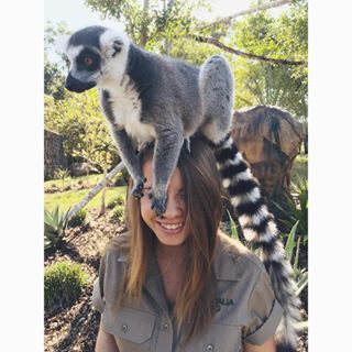 Zoology Career, Vet School Motivation, Irwin Family, Crocodile Hunter, Bindi Irwin, Vet Medicine, Wildlife Biologist, My Future Job, Wildlife Rehabilitation