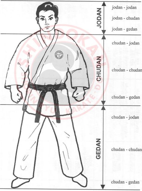 Kyokushin Karate Techniques, Karate Techniques, Wado Ryu Karate, Japanese Karate, Shorin Ryu Karate, Goju Ryu Karate Kata, Shotokan Karate Kata, Goju Ryu Karate, Karate Styles