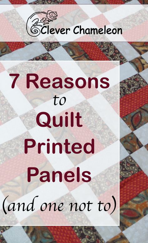 Fabric Panels For Quilting, Panels For Quilting, Quilted Wall Hangings Patterns, Christmas Fabric Panels, Panel Quilt Patterns, Fabric Panel Quilts, Quilt Sewing Patterns, Free Motion Quilt Designs, Quilt Border