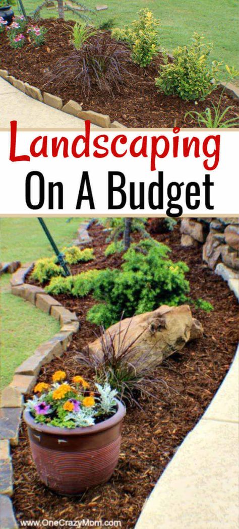 Money Saving Landscaping Ideas - 7 Money saving landscaping tips Cheap Low Maintenance Landscaping, Low Maintenance Low Cost Landscaping Front Yard, Waterless Yard Landscaping Ideas, East Landscape Ideas, Front Yard Landscaping Ideas Oklahoma, How To Redo Front Yard Landscaping, Around The House Landscaping Ideas, Under Tree Landscaping Ideas Front Yard, Simple Landscaping Front Yard Low Maintenance Texas