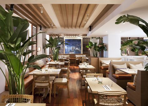 Tommy Bahama Flagship Store, Restaurant and Bar | MNA (Michael Neumann Architecture) | Archinect