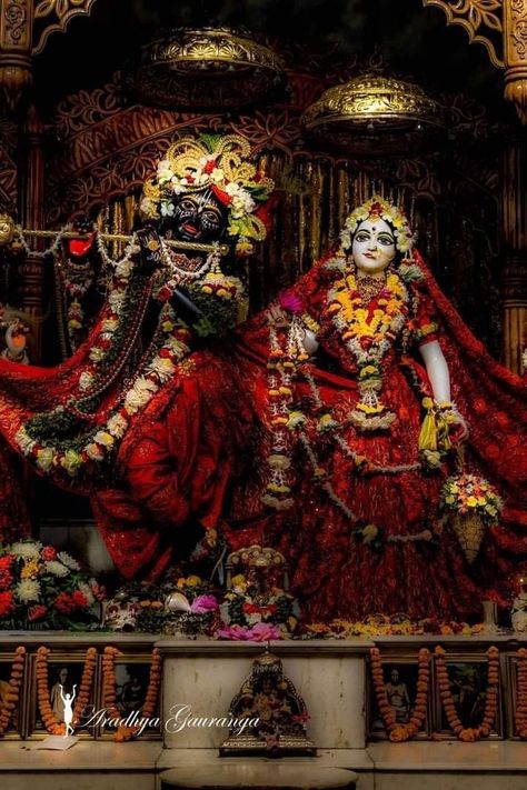 Unique Radha Krishna Images, Vrindavan Photography Pictures, Iskcon Krishna, Krishna Temple, Radhe Krishna Wallpapers, Shree Krishna Wallpapers, Hanuman Photos, Shri Ram Photo, Lord Krishna Hd Wallpaper