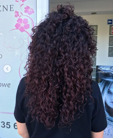 Burgundy Hair Color On Curly Hair, Wine Red Hair On Curly Hair, Curly Dark Hair Color Ideas, Mahagony Curly Hair, Dark Burgandy Hair Curly, Curly Dark Burgundy Hair, Dark Brown And Red Curly Hair, Dark Red Highlights In Black Hair Curly, Maroon Highlights On Dark Hair Curly