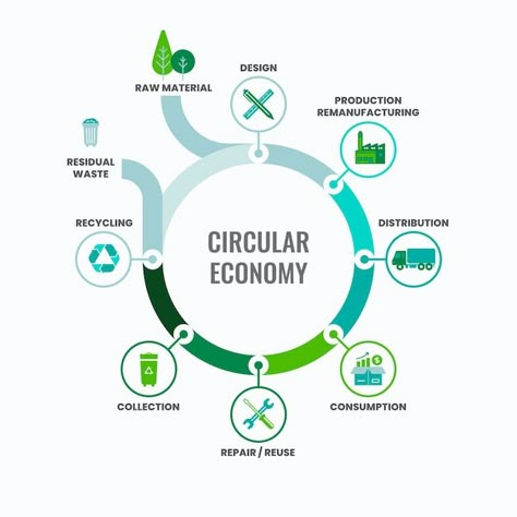 Free vector flat design circular economy... | Free Vector #Freepik #freevector #circular-economy #eco-friendly #ecology-infographic #eco