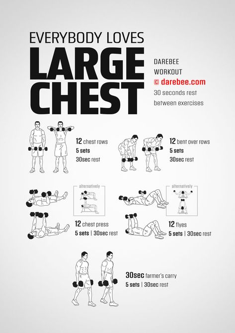 Everybody Loves Large Chest Workout Dumbell Home Workout For Men, Chest Day Dumbbell Workout, Dumbell Workout Chest, Best Dumbbell Chest Workout, Chest Workouts Dumbbell, Dumbbell Workout For Chest, Floor Chest Workout, Chest Workout Beginner, Standing Chest Dumbell Workout