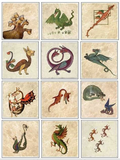 Medieval dragons on marble tiles, part 1 Medieval Bestiary Illustrations, Scriptorium Medieval, Medieval Dragon Illustration, Medieval Dragons, Medieval Creatures, Dragon Medieval, Medieval Bestiary, Medieval Illumination, Medieval Pattern