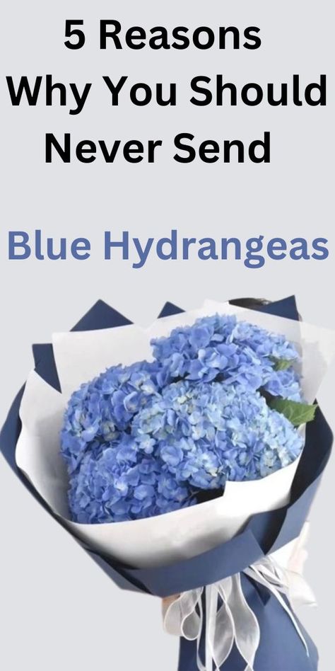 Blue hydrangeas have negative meanings associated with them hence not ideal flowers to send or gift in bouquets. Simple Hydrangea Arrangements, Blue Hydrangea Floral Arrangements, Hydrangea Flower Arrangements Vase, Hydrangeas Flower Arrangements, Diy Hydrangea Bouquet, Blue Hydrangea Flower Arrangements, Fake Hydrangea Arrangements, Hydrangea Arrangements Centerpieces, Flower Arrangements With Hydrangeas