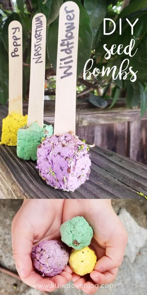 Planting Seed Activity For Kids, Diy Seed Balls, Spring Party Crafts For Kids, First Day Of Spring Activities For Kids, Garden School Ideas, Earth Day Seed Bomb Printable, Kids Seed Planting Activity, Diy Seed Library, Spring Garden Crafts For Kids