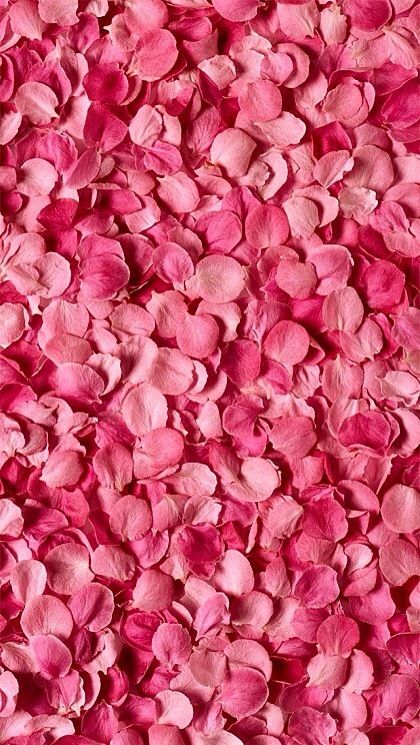 !live freely! Red Rose Petals, Muslin Backdrops, Valentine Photography, Floral Backdrop, Pink Petals, Custom Backdrop, Flower Backdrop, Everything Pink, Girl Wallpaper