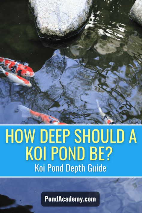 How To Make A Koi Pond, Backyard Coy Pond Ideas, Koi Pond Ideas Japanese Style, Koi Pond Aquaponics, Koi Pond Front Entry, Rectangle Koi Pond, Front Yard Koi Pond, Easy Koi Pond, Turtle And Koi Pond