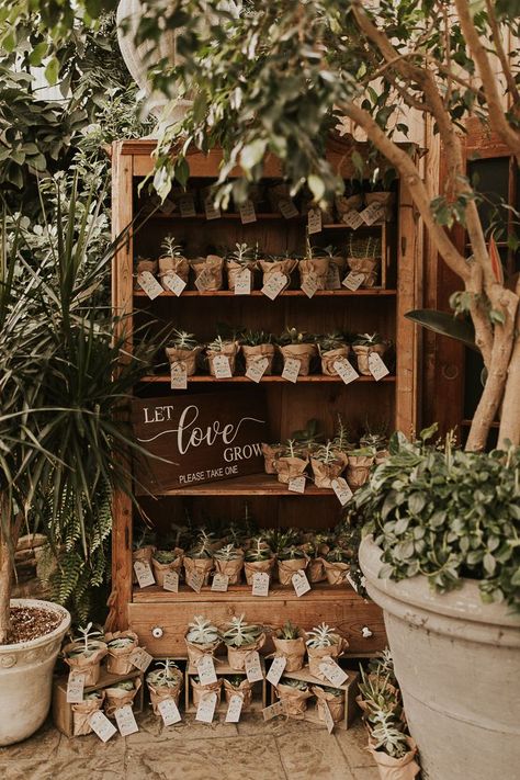 Herb Garden Wedding, Casual Garden Wedding, Simple Garden Wedding, Plant Wedding Favors, Shell Wedding, Plant Wedding, Let Love Grow, Boho Wedding Decorations, Dream Day