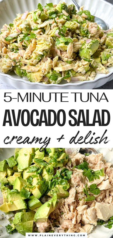 Avocado Tuna Salad | Quick + High Protein Healthy Low Carb Lunch Ideas For Work, Super Clean Recipes, Avocado Tuna Salad No Mayo, Cold Tuna Lunch Ideas, Low Cholesterol Tuna Salad, Tuna Avocado Dip, Tuna Salad For Diabetics, Delicious Tuna Salad Recipe, Cilantro Tuna Salad