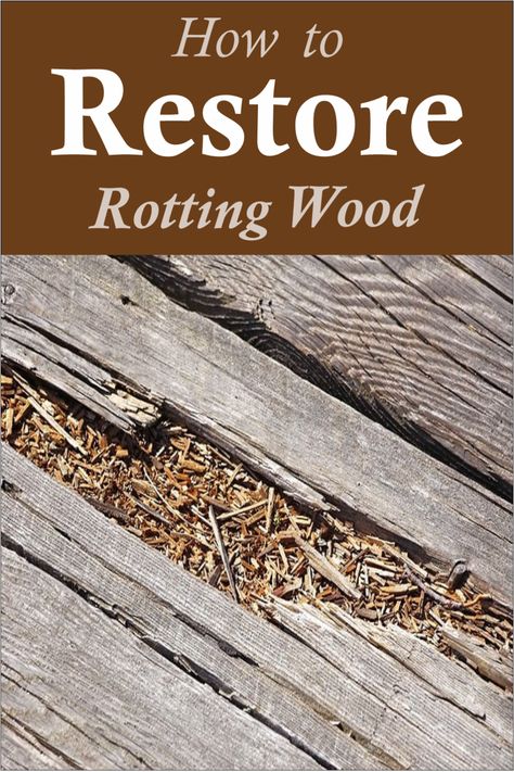 restore, wood, restore wood, how to restore wood, DIY Rotting Wood Repair, How To Repair Rotted Exterior Wood, How To Fix Rotten Wood On Deck, Rotted Wood Repair, Rotten Wood Repair Diy, Old Barnwood Ideas, Repair Rotted Wood, Old Barn Wood Ideas, Old Barn Restoration