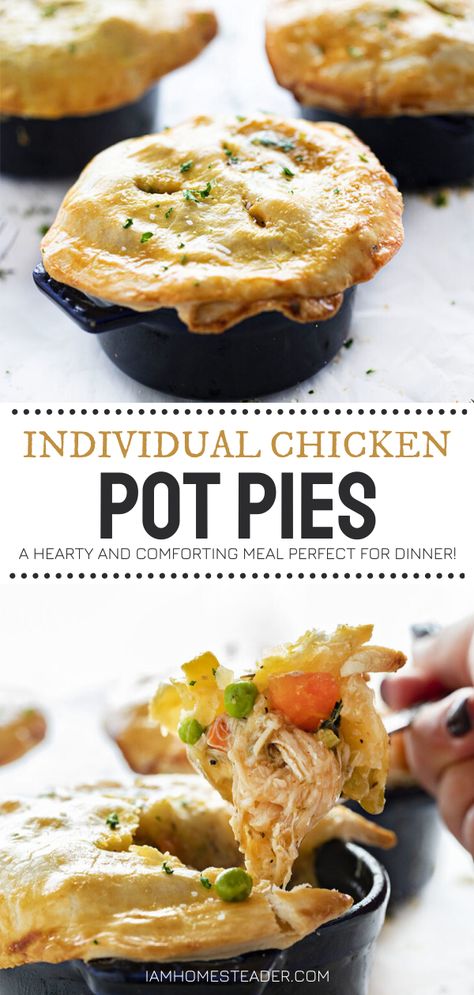 Mini Beef Pot Pies Easy, Rustic Tarts, Pot Pies With Puff Pastry, Turkey Pot Pie Casserole, Beef Pot Pie Recipe, Ramekin Recipe, Individual Chicken Pot Pies, Homesteading Recipes, Mini Pot Pies