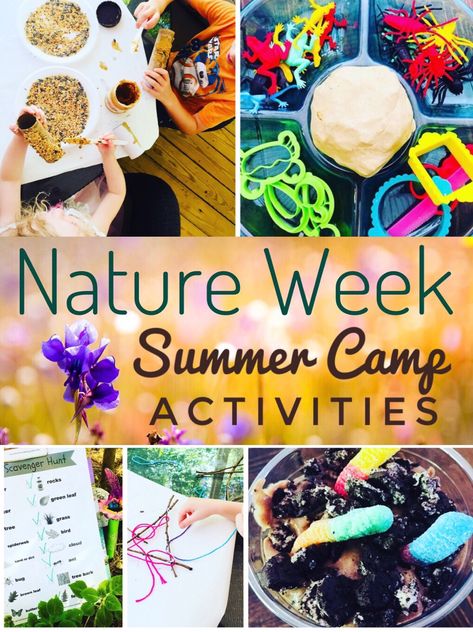 Fun and Easy Nature themed activities to do with kids - great for a DIY Summer Camp! Nature Themed Activities, Diy Summer Camp, Camping Activites For Kids, Preschool Summer Camp, Camping Hacks With Kids, Summer Camp At Home, Camp At Home, Camp Themes, Summer Camp Themes