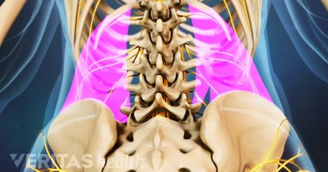 Muscle spasms in your back may be a sign that your body is trying to tell you something. Learn how to listen to and treat these painful messages from your muscles. Back Spasm Relief, Spine Anatomy, Nerve Anatomy, Cauda Equina, Back Spasm, Back Health, Bolesti Chrbta, Spine Pain, Middle Back Pain