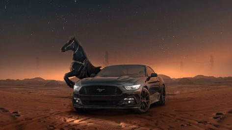 We Collect the Most Beautiful 4K photos for you on our site. You can go to our site and download Many Pictures for Free. Click to go to the site: https://www.pixel4k.com/ Black Car Mustang, Gt Mustang Wallpaper, Black Mustang Gt Wallpaper, Mustang Cars Wallpapers, Ford Mustang Gt Wallpaper, Mustang Gt Wallpaper, Siyah Mustang, Ford Mustang Gt Black, Mustang Gt500 Shelby