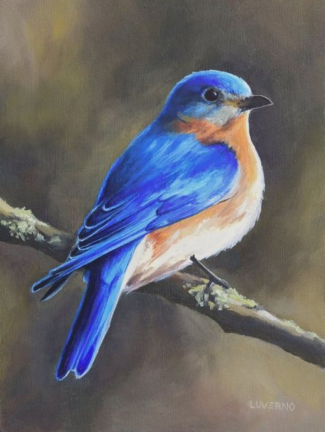 Bluebird Painting, Bird Oil Painting, Bird Painting Acrylic, Bird Paintings On Canvas, Bird Watcher Gifts, Eastern Bluebird, Commissioned Artwork, Bird Artwork, Framed Oil Painting