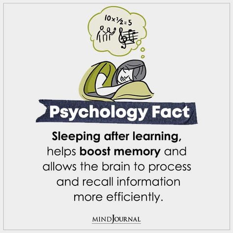 Sleeping after learning, helps boost memory and allows the brain to process and recall information more efficiently. Physiology Fact, Memory Psychology, Memory Tips, Human Behavior Psychology, Psychology 101, Physiological Facts, Psychology Notes, Psychological Facts Interesting, Psychology Studies