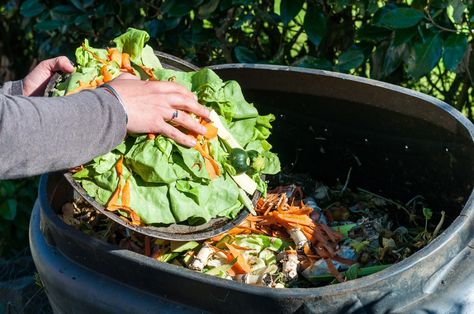 Have you been thinking about composting but not sure what's involved? Understanding the basics of composting can make it a less intimidating process. What To Compost, Home Compost, Diy Fertilizer, How To Compost, Compost Bucket, Composting Process, Vegetable Scraps, How To Make Compost, Composting At Home