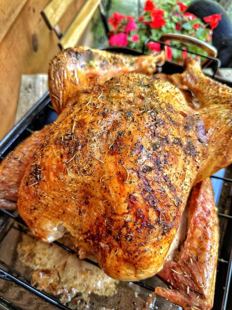 The Perfect Turkey Recipe, Make Ahead Turkey Gravy The Tipsy Housewife, Pioneer Women Turkey Thanksgiving, Tipsy Housewife Turkey, The Tipsy Housewife Thanksgiving Turkey, Accidental Turkey, What To Stuff Turkey With For Flavor, Traditional Turkey, Easy Turkey Thanksgiving Recipe