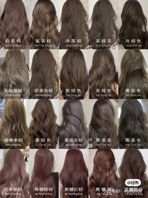 Subtle Hair Colors For Dark Hair, Asian Light Hair Color, Ash Brown Vs Chocolate Brown, Milktea Brown Hair Color Asian, Hair Dye Colors For Asians, Brown Hair Blue Undertone, Brown Hair Shades For Fair Skin, Milk Tea Brown Hair On Tan Skin, Dark Chocolate Ash Brown Hair