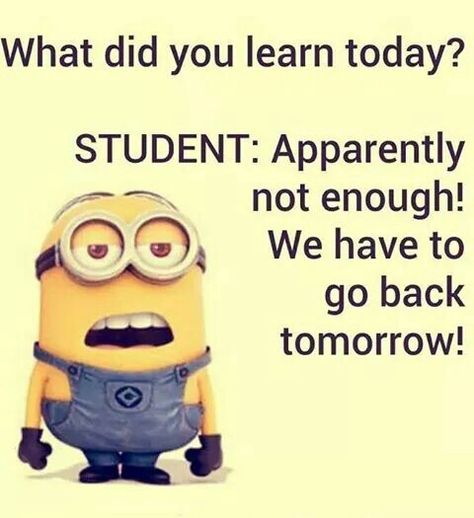 Student Minion Humour, Funny Quotes Wallpaper, Minion Memes, Funny Mean Quotes, Funny Minion Memes, Funny Day Quotes, Disney Quotes Funny, Minion Jokes, Calendar Board